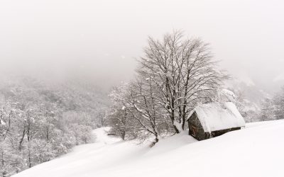 How To Guide: Winter-izing Your Home in Vancouver